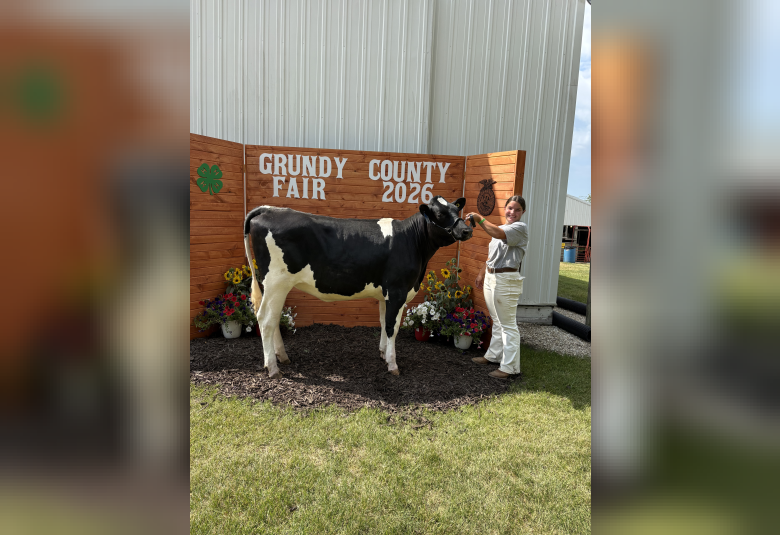 Makenly Kuester won Champion Calf, Supreme Champion Dairy, Reserve Champion Yearling, and Champion Senior Showman in the Dairy Show.