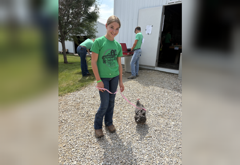 Bryley Beard using a harness to take her chicken for a stroll. 