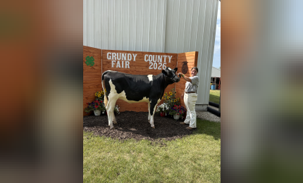 Makenly Kuester won Champion Calf, Supreme Champion Dairy, Reserve Champion Yearling, and Champion Senior Showman in the Dairy Show.